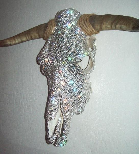 Bull Skull Right Side