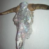 Bull Skull Right Side