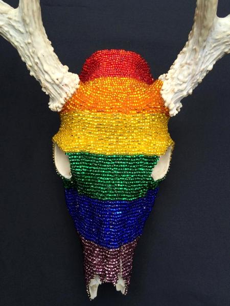 Rainbow Deer Skull I