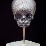 Skull/Femur