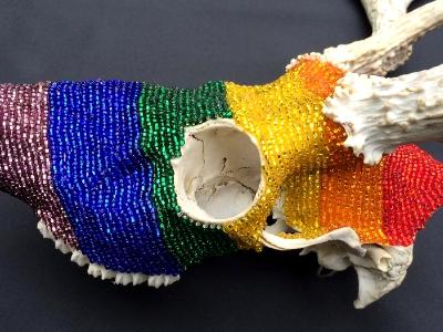 Rainbow Deer Skull - Left