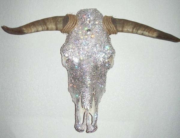 Bull Skull Bull Skull