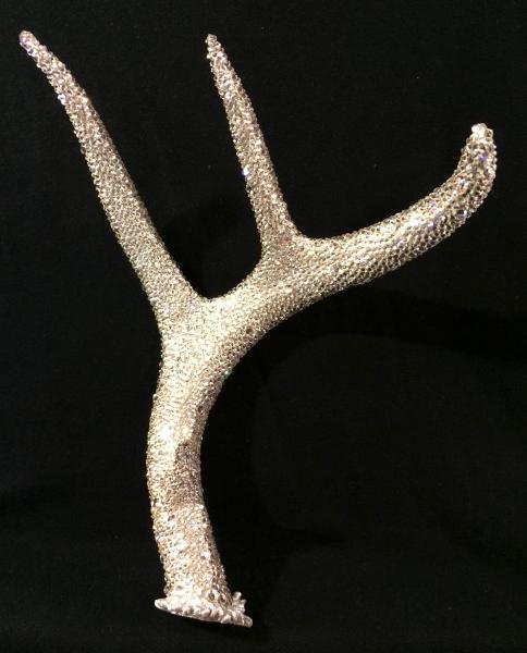 Deer Antler