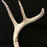 Deer Antler