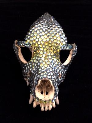 Fox Skull - Sold