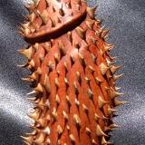 Prick - Sold